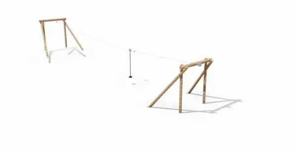 Robinia taubane 20m
