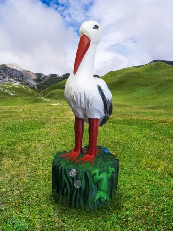 stork - Bilde 2