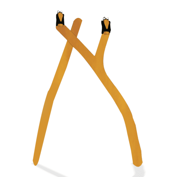 ravnens port