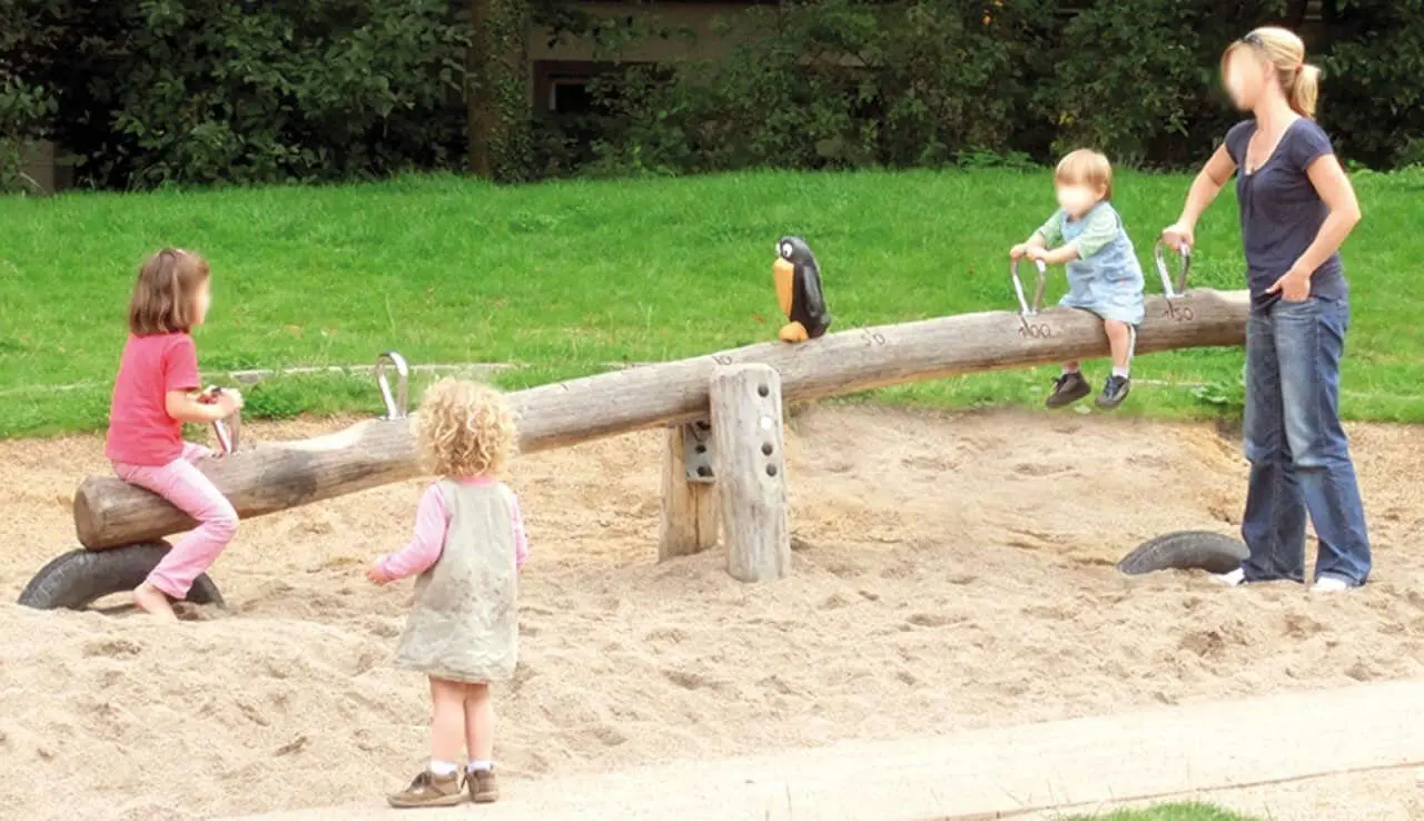 Ravnens doble vippe - Bilde 2