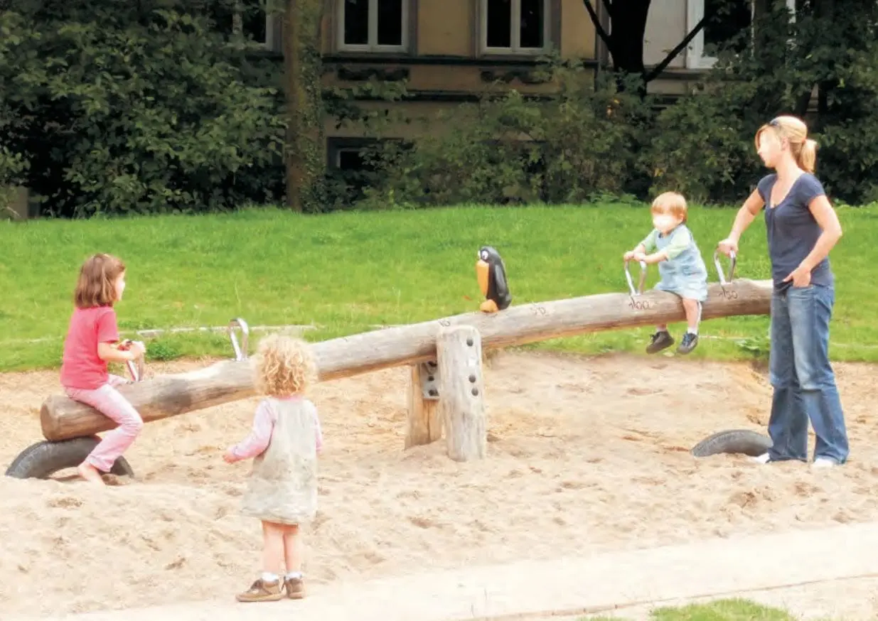 Ravnens doble vippe - Bilde 3