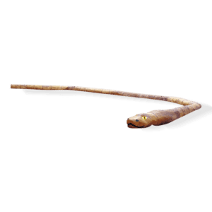 Slangerede