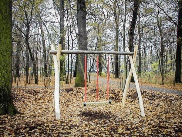 buddy swing h2.0m - Bilde 2